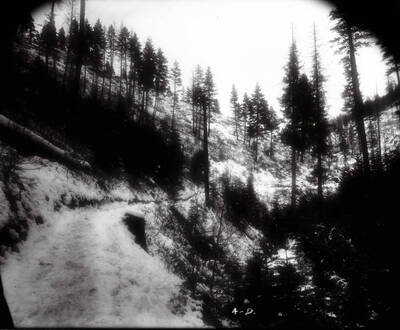 A snow covered setting with the sun shining through the trees shows the road that leads to Beebe Bros. Mine.