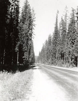 View of the road to Missoula, Montana.