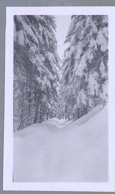 A snow-covered road. Photograph taken for T. Lewis