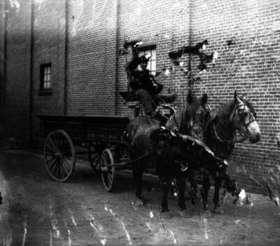 Wagon with company name on it being pulled by mules. Taken May 31, 1905.
