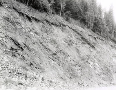 A photograph of an exposed roadside bank. Part of a Colonial Construction Company worksite.