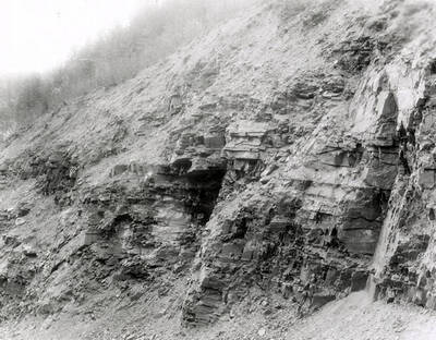 A photograph of an exposed roadside bank. Part of a Colonial Construction Company worksite.
