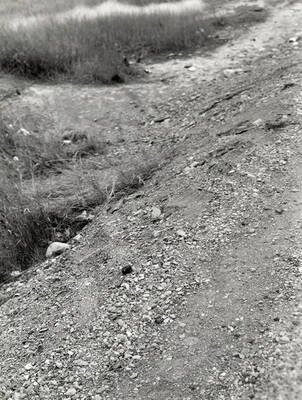 A roadside path near the infirmary in Wallace, Idaho. Taken for Clayton Keane.