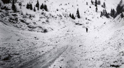 A picture of a man standing on the snow that covered the road going into Mace, Idaho, after a snow slide.