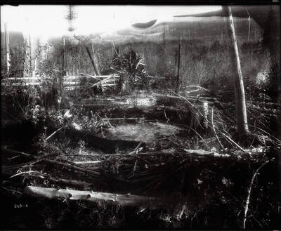 Close-up photography of fallen trees and other debris. Caption on front: "Snowstorm Mine, Mullan, Idaho by Craig - lawsuit over ranch."