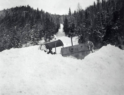View of the snow slide in Yellow Dog, Idaho. People can be seen standing in the snow.