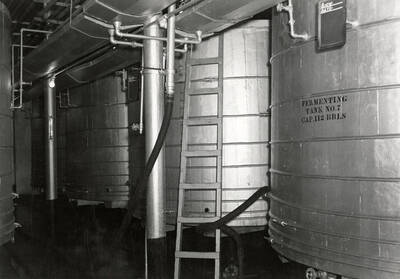 Sunset Brewery fermenting tanks [01]