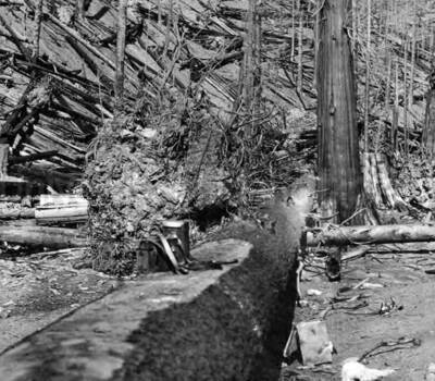 Image shows the entrance to War Eagle Mine where Edward C. Pulaski led 40 men and two horses to escape from fire. 1910 Forest fire