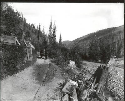 North side, Coeur d'Alene Mining District (Murray area). Two horses pulling a cart can be seen on the left hand side of the photograph.