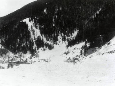 The snow slide that happened near Burke, Idaho on the Wallace side. A few houses can be seen covered in snow.
