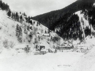 The snow slide that happened near Burke, Idaho on the Wallace side. A few houses can be seen covered in snow.