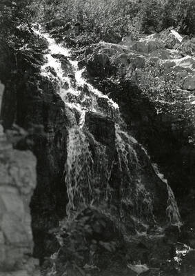 Willow Creek near Mullan, Idaho [02]
