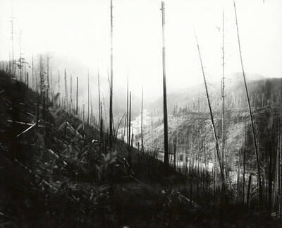 View of Prichard Creek looking from the country road to Eagle, Idaho, near North Fork by the Coeur d'Alene Mining District.