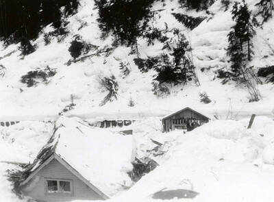 The snow slide that happened near Burke, Idaho on the Wallace side. A few houses can be seen buried in snow.