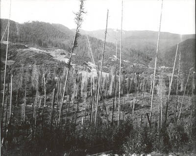 North side, Coeur d'Alene Mining District (Murray area).
