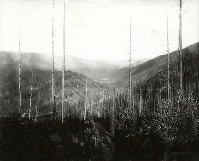 Prichard Creek [03]