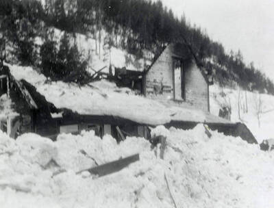 The snow slide that happened near Burke, Idaho on the Wallace side. A few houses can be seen covered in snow.