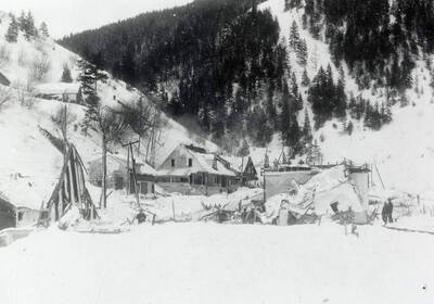 The snow slide that happened near Burke, Idaho on the Wallace side. A few houses can be seen covered in snow.