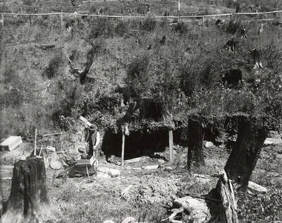 A man mining with a rocker at the Cedar Cabin place, which is located on the north side of the Coeur d'Alene Mining District.