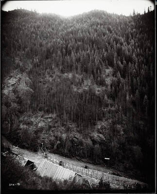 Picture of a mountain covered in trees