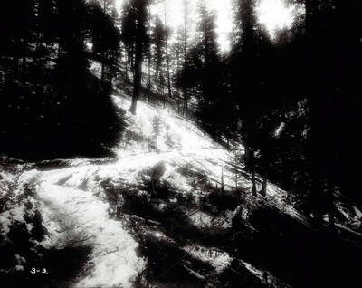 A snow covered setting with the sun shining through the trees shows the road that leads to Beebe Bros. Mine.