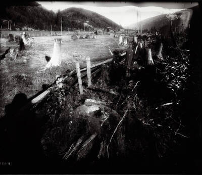 Lawsuit over farm, burnt trees