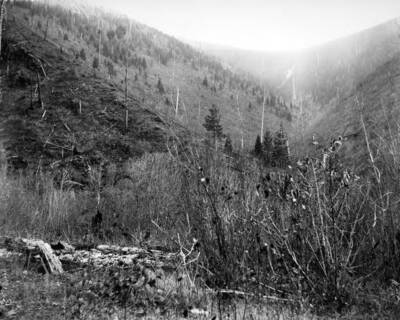 T. Towles taken at Murray October 11, 1921