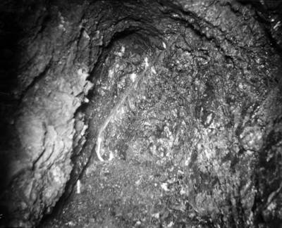 Prospect hole showing vein; T. Towles taken at Murray October 11, 1921