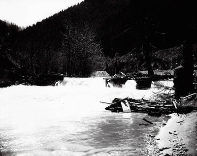 Image of a stream flowing near the Coeur d'Alene Powder Company. A man seen is standing to the right by a tree with his back to the camera.
