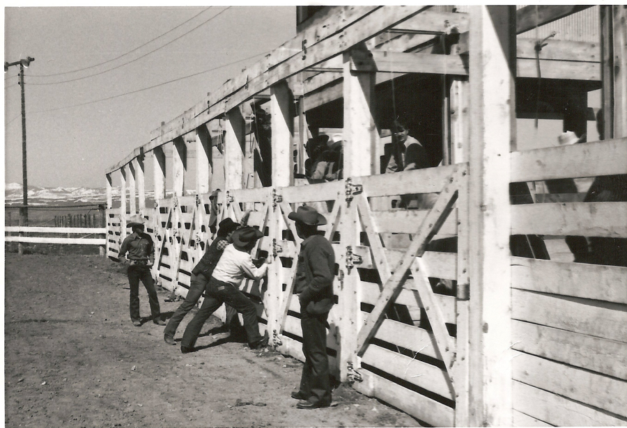 Several men are standing next to a wooden livestock enclosure. One man is leaning against the fence, another is reaching through the slats, and others look on. The background shows a mountainous landscape and a telephone pole.
