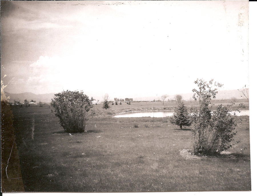 Open landscape with grassy fields, a few small trees, and shrubs. A pond is visible in the background, with an expansive view reaching towards distant hills. Sparse clouds are scattered across the sky.