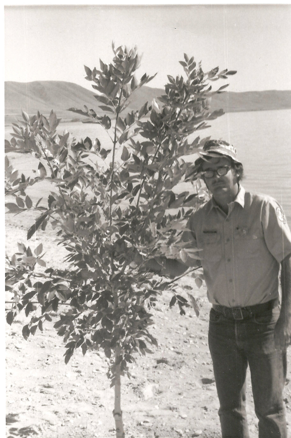 A person wearing glasses and a hat stands next to a young tree. The person rests their hand on one of the tree's branches. They are wearing a uniform shirt with a patch on one arm. In the background, there is a body of water and hills.