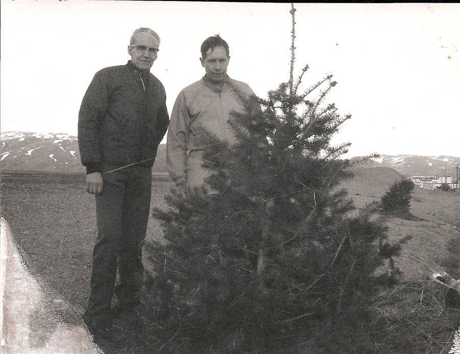 Two men standing next to a small evergreen tree in an open, barren landscape with mountains in the background. There is a sign visible in the distance that reads "OFFICERS MESS LTD."