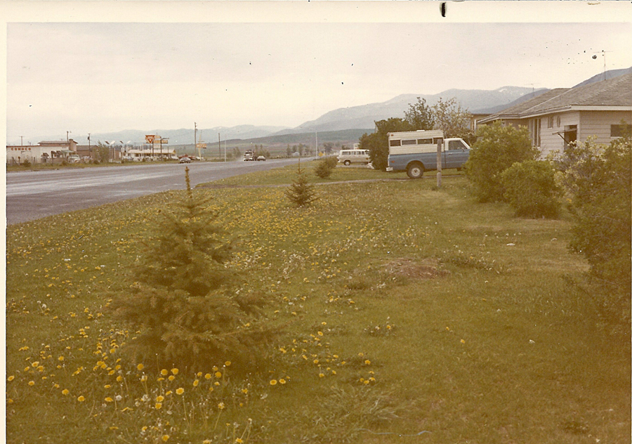 A grassy field with scattered yellow flowers and small pine trees. A road runs beside the field, with a blue truck parked near a house on the right. In the background, buildings are visible, including one with the sign "CONOCO." Mountains can be seen in the distance under a cloudy sky.