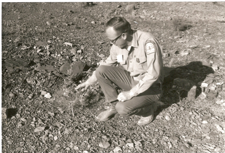 A man wearing a uniform with a patch on the sleeve is crouching outdoors, examining the ground. The area around him is rocky and sparse with vegetation. He appears to be in a natural setting, possibly conducting research or an inspection.