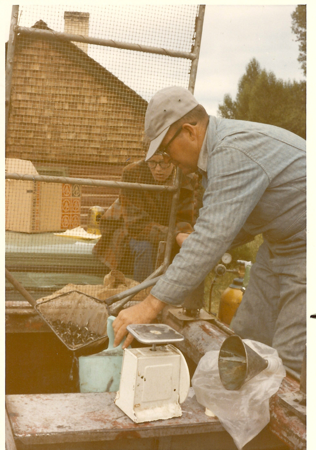 A man wearing a cap and glasses is working with equipment outdoors. He is scooping objects from a container on a table with various tools and a scale. Another person is partially visible in the background near a wooden structure. There are trees and a house in the background.