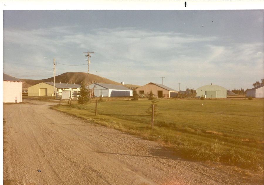 A dirt road curves into the distance with green grass and small pine trees along its side. Several large, barn-like buildings in shades of yellow, blue, and red are spread across an open area. A mountain rises in the background, and power lines stretch across the sky.
