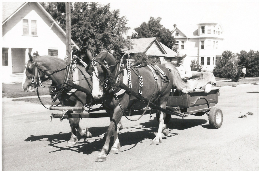 A man wearing a hat sits in a horse-drawn wagon. Two horses are harnessed to the wagon, walking along a street. In the background are houses with trees nearby, and a person can be seen standing on the sidewalk.