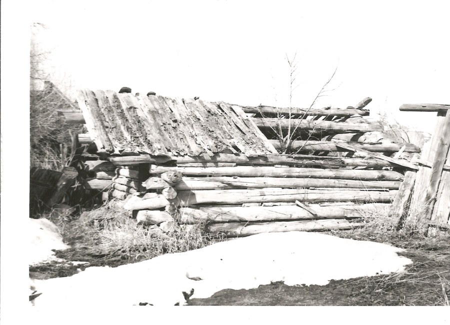A dilapidated wooden structure made of logs and planks, surrounded by sparse vegetation and patches of snow on the ground. The roof appears partially collapsed, indicating decay over time.