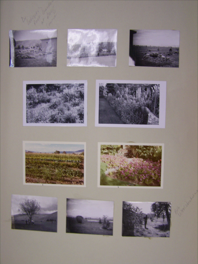 Nine small landscape photographs arranged on a beige background. The images depict various outdoor scenes, including gardens, fields, and trees. Handwritten text in the top left corner reads, "Dr. Skinner's seed house at Geneva Cornell." In the bottom right corner, the handwritten text says, "No reproduction."
