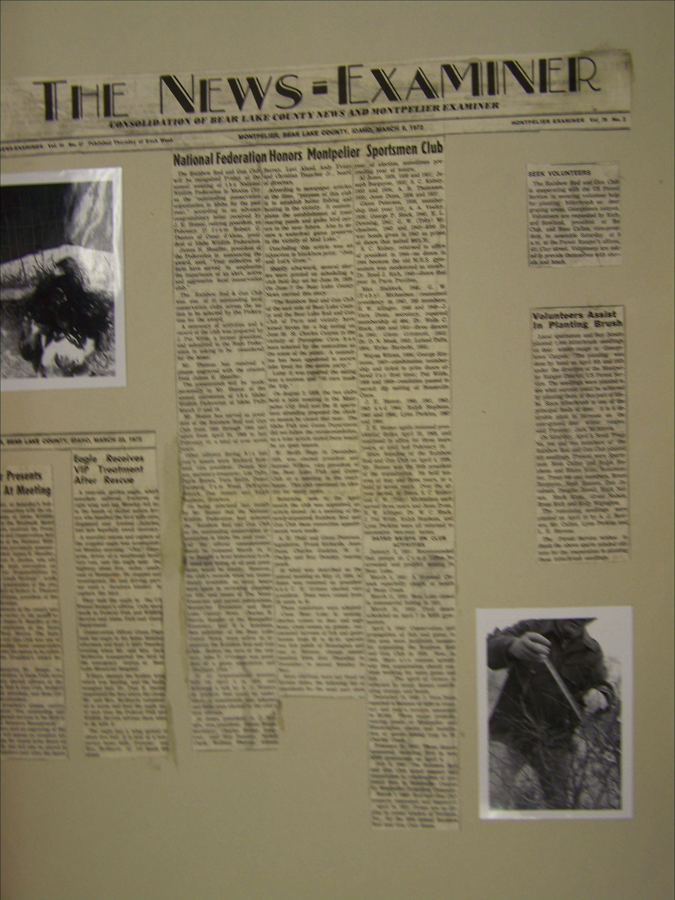 A newspaper page titled "The News-Examiner" features an article with the headline "National Federation Honors Montpelier Sportsmen Club." The page includes several columns of text and two photographs. The photograph on the left shows a person holding a bird. The photograph on the right shows a person interacting with a tree branch. There are also two smaller sections with text, one titled "SEX VOLUNTEERS" and another about volunteers assisting in planting.
