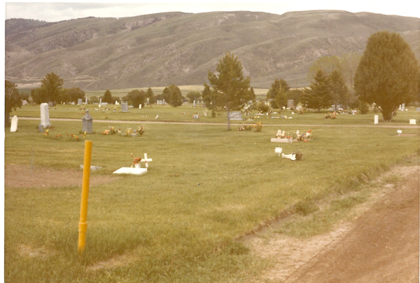A grassy cemetery with numerous grave markers and headstones scattered throughout. Some graves have floral arrangements on them. In the background, there are trees and rolling hills. A dirt pathway runs through the scene, and there is a yellow stake in the foreground.