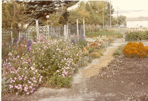 A vibrant garden with a variety of flowers, including pink and orange blossoms, growing along a dirt path. Wooden trellises and a birdhouse are visible in the background, with trees and a residential house beyond.