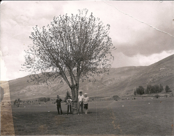 Four children with golf clubs stand under a tree in an open field, with mountains visible in the background.
