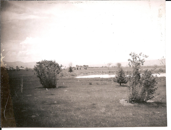 Open landscape with grassy fields, a few small trees, and shrubs. A pond is visible in the background, with an expansive view reaching towards distant hills. Sparse clouds are scattered across the sky.