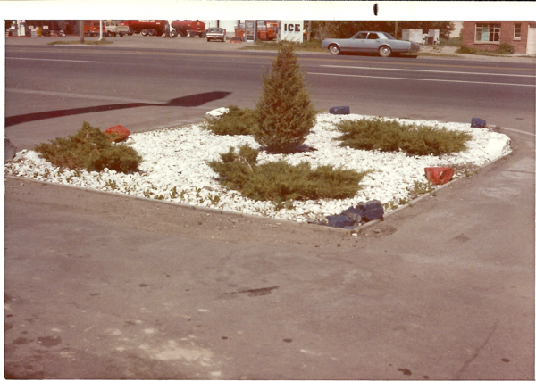 A small landscaped area with white stones and a few green bushes arranged in a squared plot. Some stones on the edge are painted red and blue. A road is in the background with a blue car parked along it. There is a building with a sign that reads “ICE” partially visible. More vehicles and an open area are seen further back.