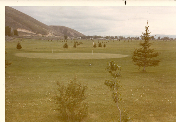 A grassy field with a circular area surrounded by several small trees. In the background, hills rise gently, and there are more trees scattered across the landscape, with some structures visible in the distance. A few saplings are visible in the foreground.
