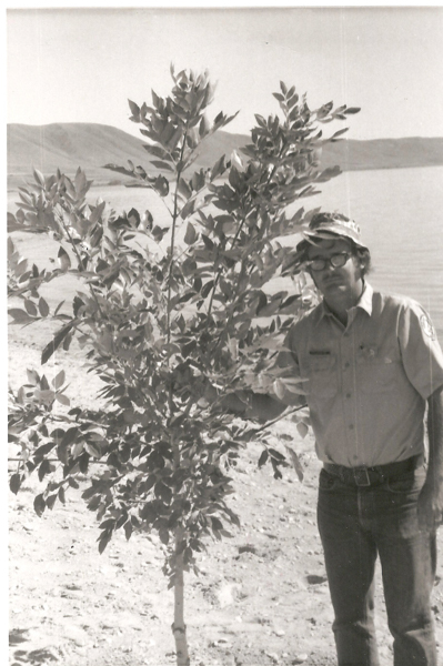 A person wearing glasses and a hat stands next to a young tree. The person rests their hand on one of the tree's branches. They are wearing a uniform shirt with a patch on one arm. In the background, there is a body of water and hills.