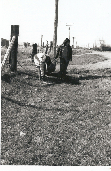 Two people in a field, one bending down with their back turned, holding hands with the other who is standing upright. They are near a wooden fence and utility poles, with a dirt path and open land stretching into the distance.