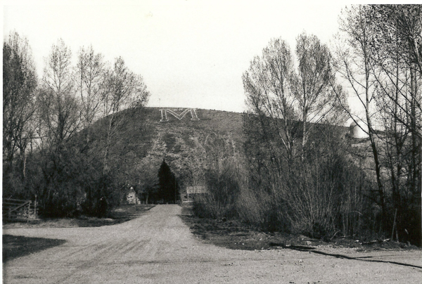 A dirt road leads towards a hill with a large letter "M" visible on it. The scene is framed by tall trees on both sides. A small structure and some trees are situated at the base of the hill.